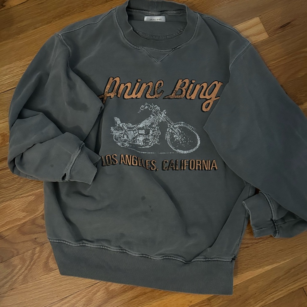 Anine Bing sweatshirt